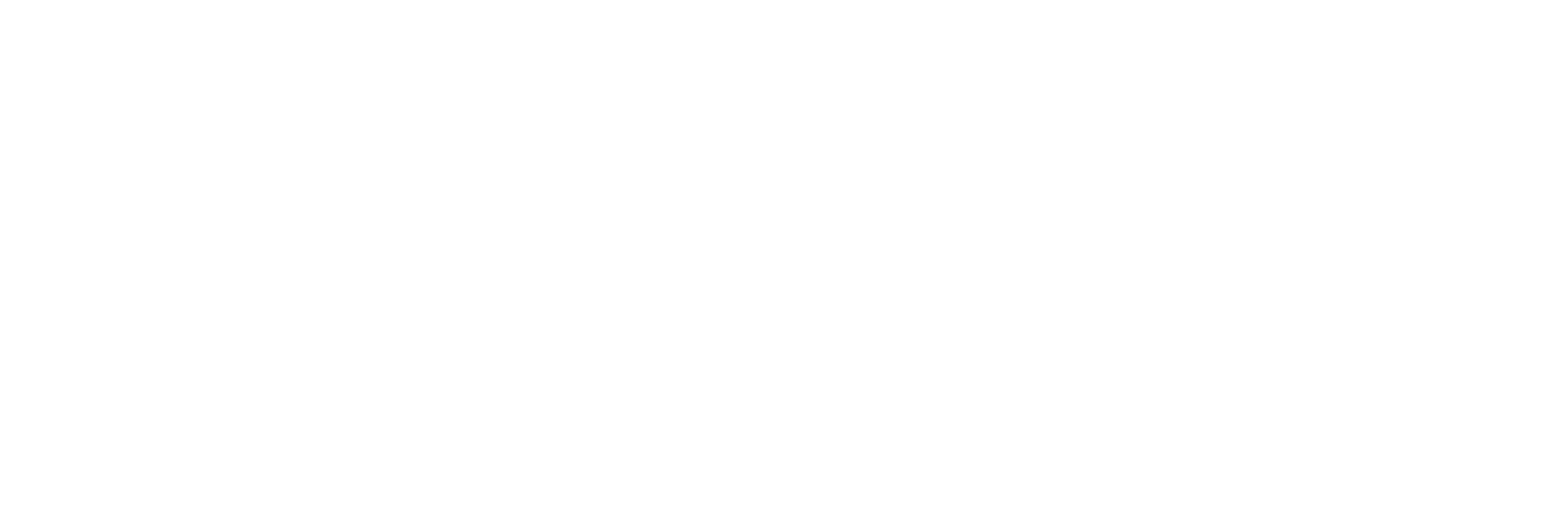 VELU GEM